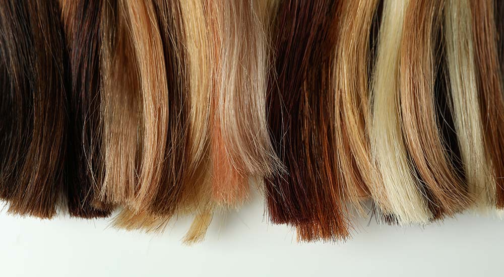 Alles was Sie über Haare wissen müssen