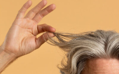 Verwurzelte Anatomie in Miniatur: Die Architektur des Haares geht unter die Haut